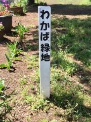 わかば1号緑地