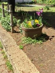 わかば1号緑地