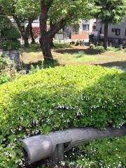 わかば1号緑地