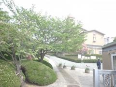 久留米信愛幼稚園