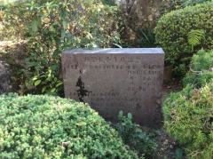松梅小学校