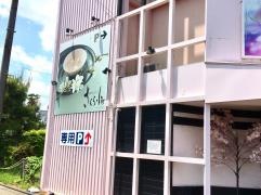 さくら小町　金華橋店