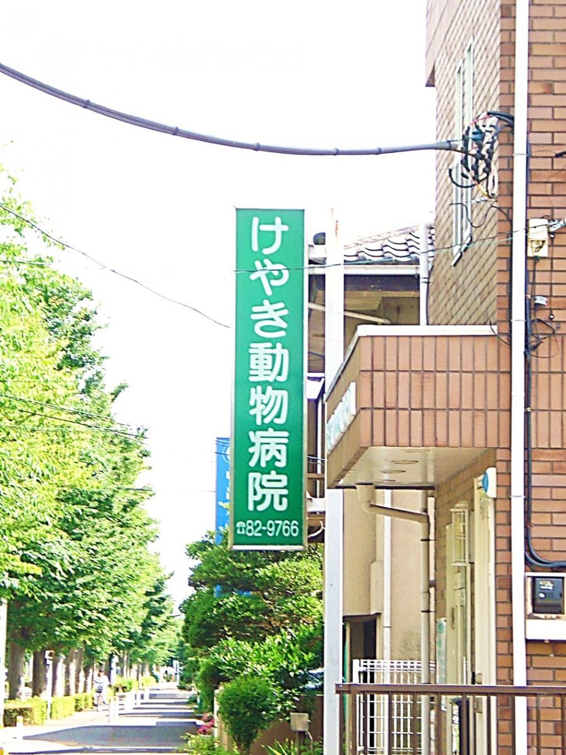 けやき 動物 病院