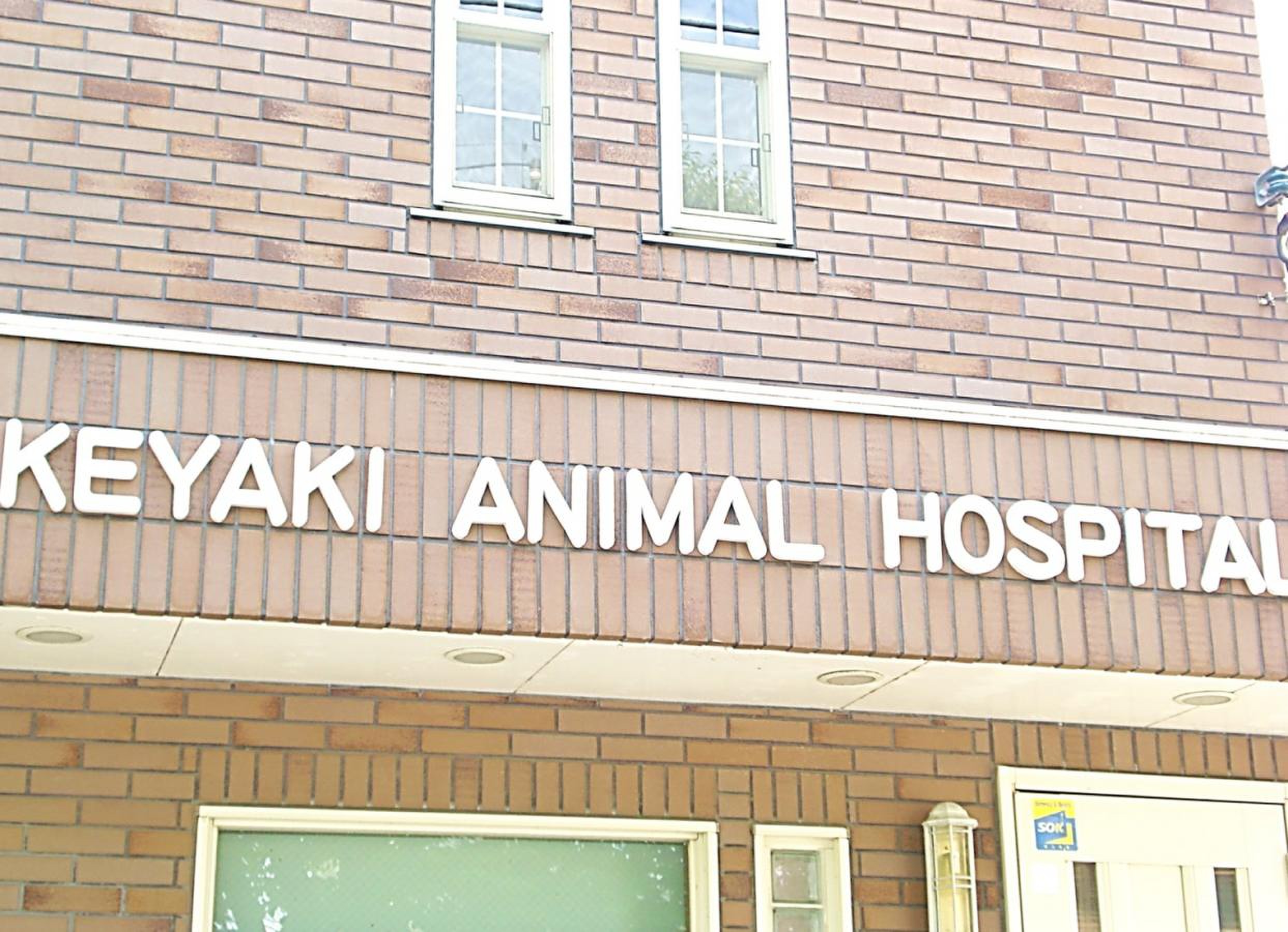 けやき 動物 病院