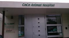 ＣＯＣＯ動物病院