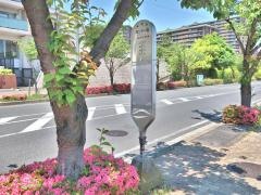 「センター前(横浜市青葉区)」バス停留所