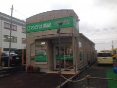 わかば薬局ニュータウン店