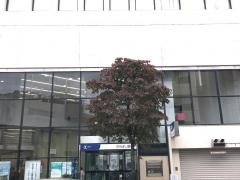 きらぼし銀行大和支店