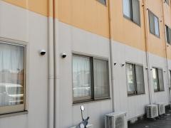 シンシア守山