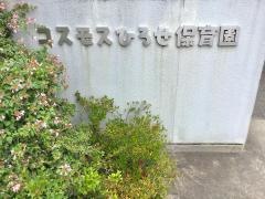 コスモスひろせ保育園