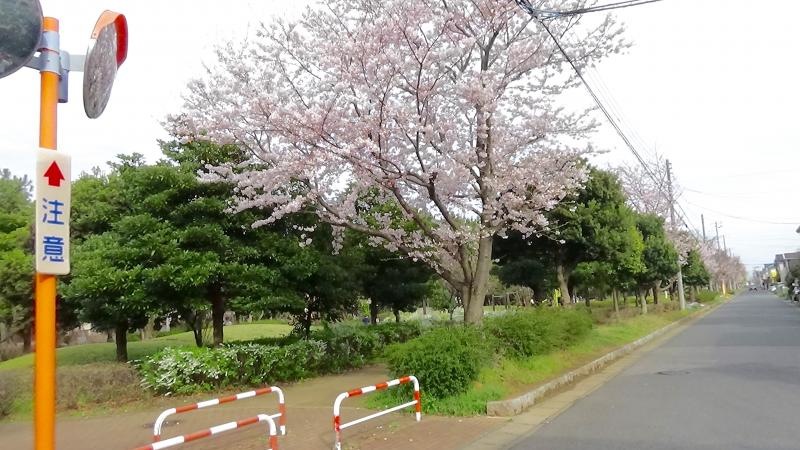 公園内