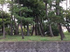 松が丘一号緑地