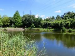 山田西公園