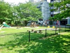 白川公園