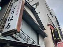 とりはる