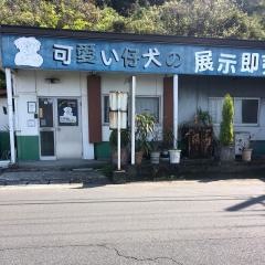 しーとんどうぶつしゃ