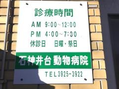 石神井台動物病院