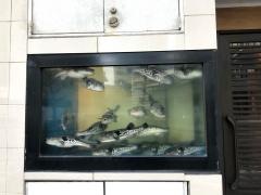 とらふぐ亭田町店