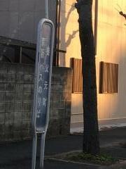 「養父元町」バス停留所