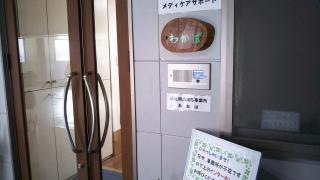 わかば