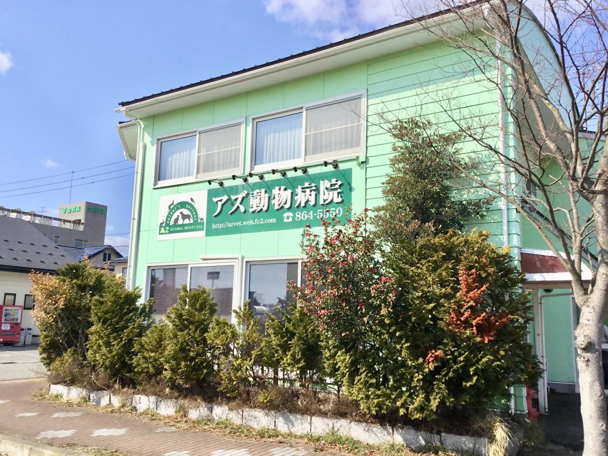 秋田市泉にあるアズ動物病院