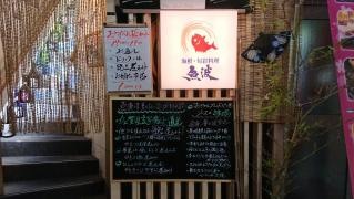 魚波