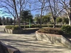 島中央公園