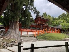春日大社