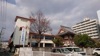 やわらぎ幼稚園