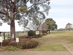 菊陽杉並木公園さんさん