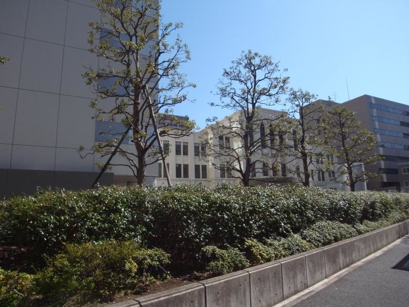 入り口
