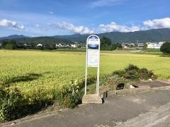 「小池四ツ角」バス停留所