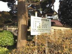 宝林寺
