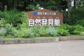 木曽川水園