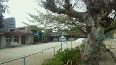 福山市立東幼稚園