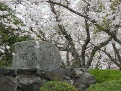 戦場ケ原公園
