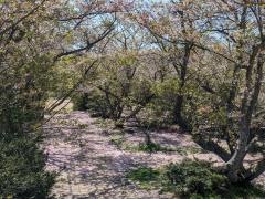 戦場ケ原公園