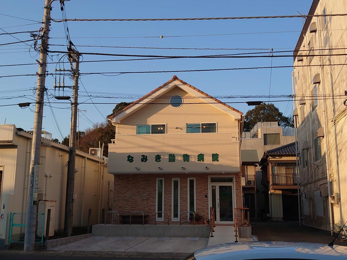 なみき動物病院