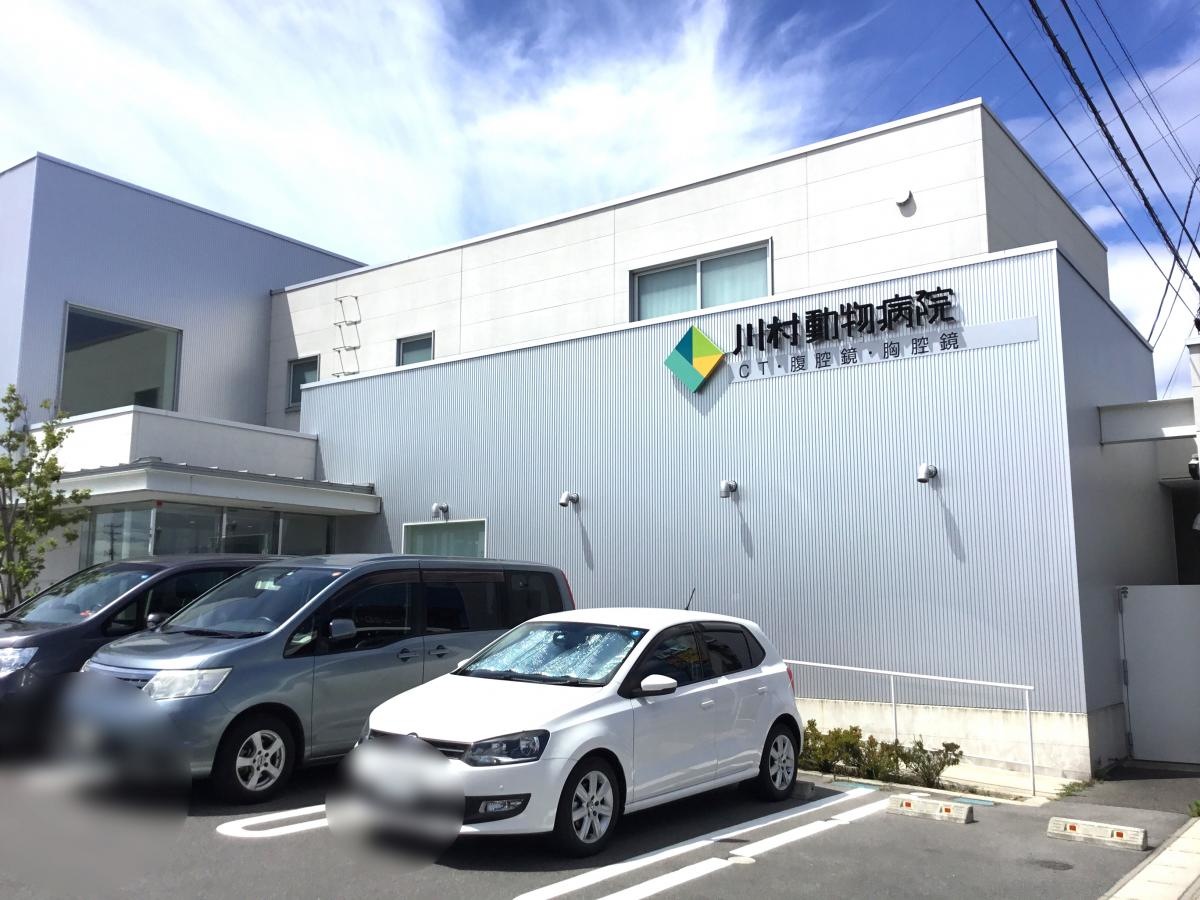 入り口