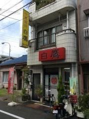 白鷹