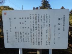 連取のマツ