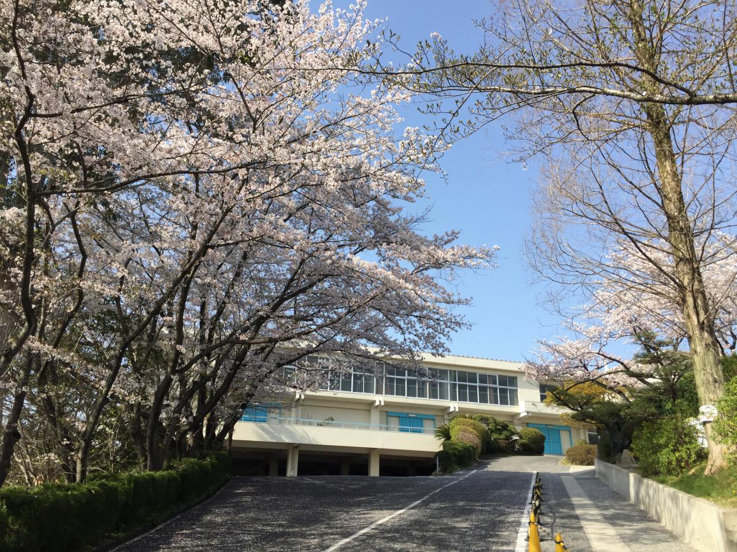 当時のメディア報道・掲載写真