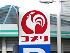 コメリハード＆グリーン　名和店