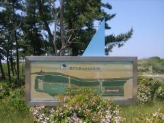 鳥取砂丘オアシス広場