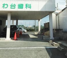 常盤台病院