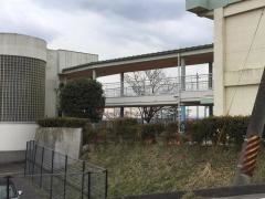 東芳小学校