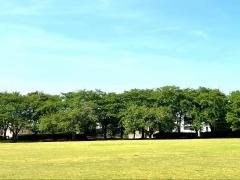 けやき台公園