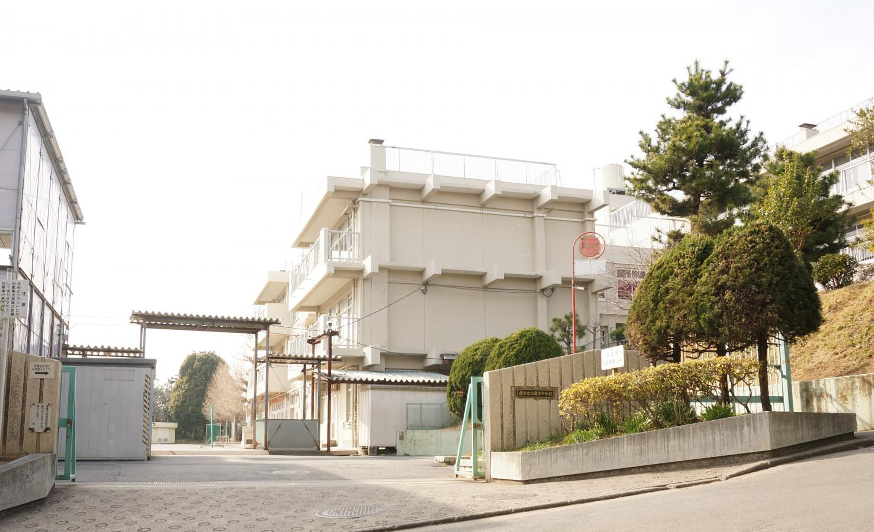 当時のメディア報道・掲載写真