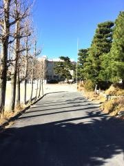 長島中部小学校