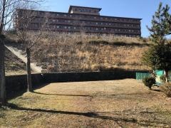 コスモ緑地